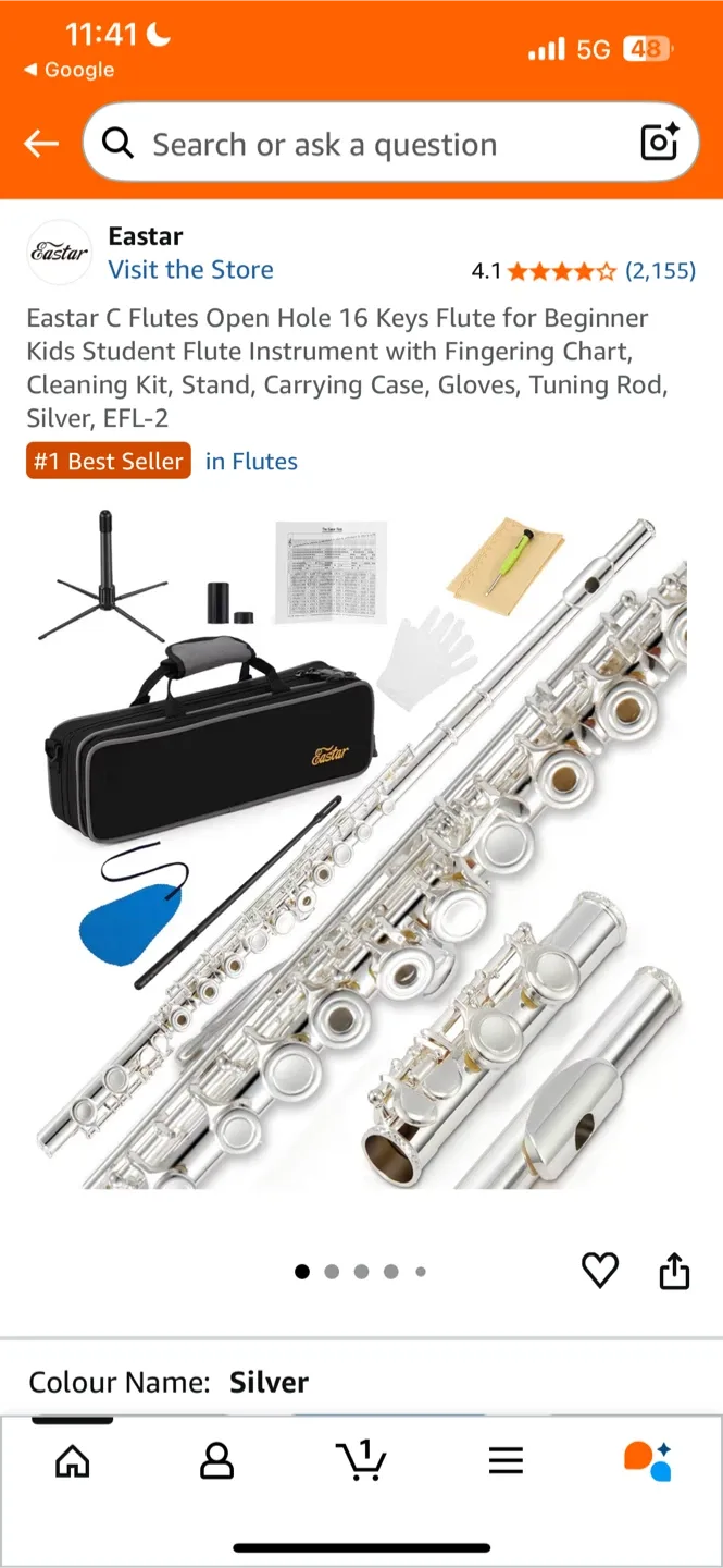 Eastar C Flute Open Hole 16 Keys - Silver