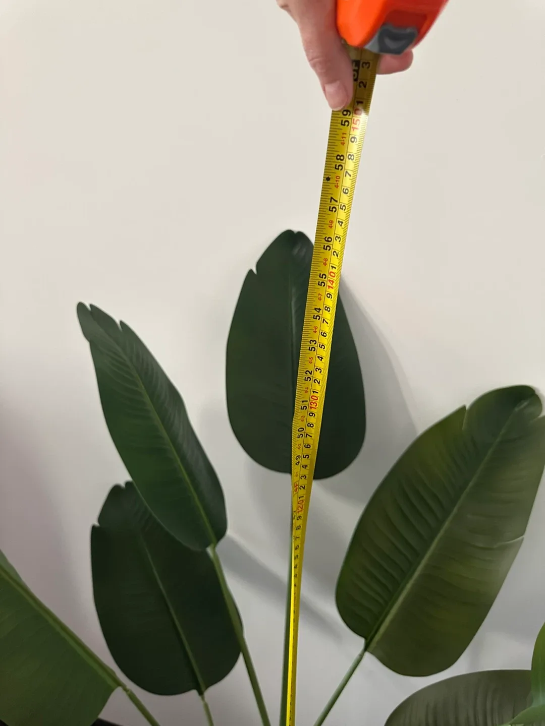 Faux Bird of Paradise Plant image indicator(2)