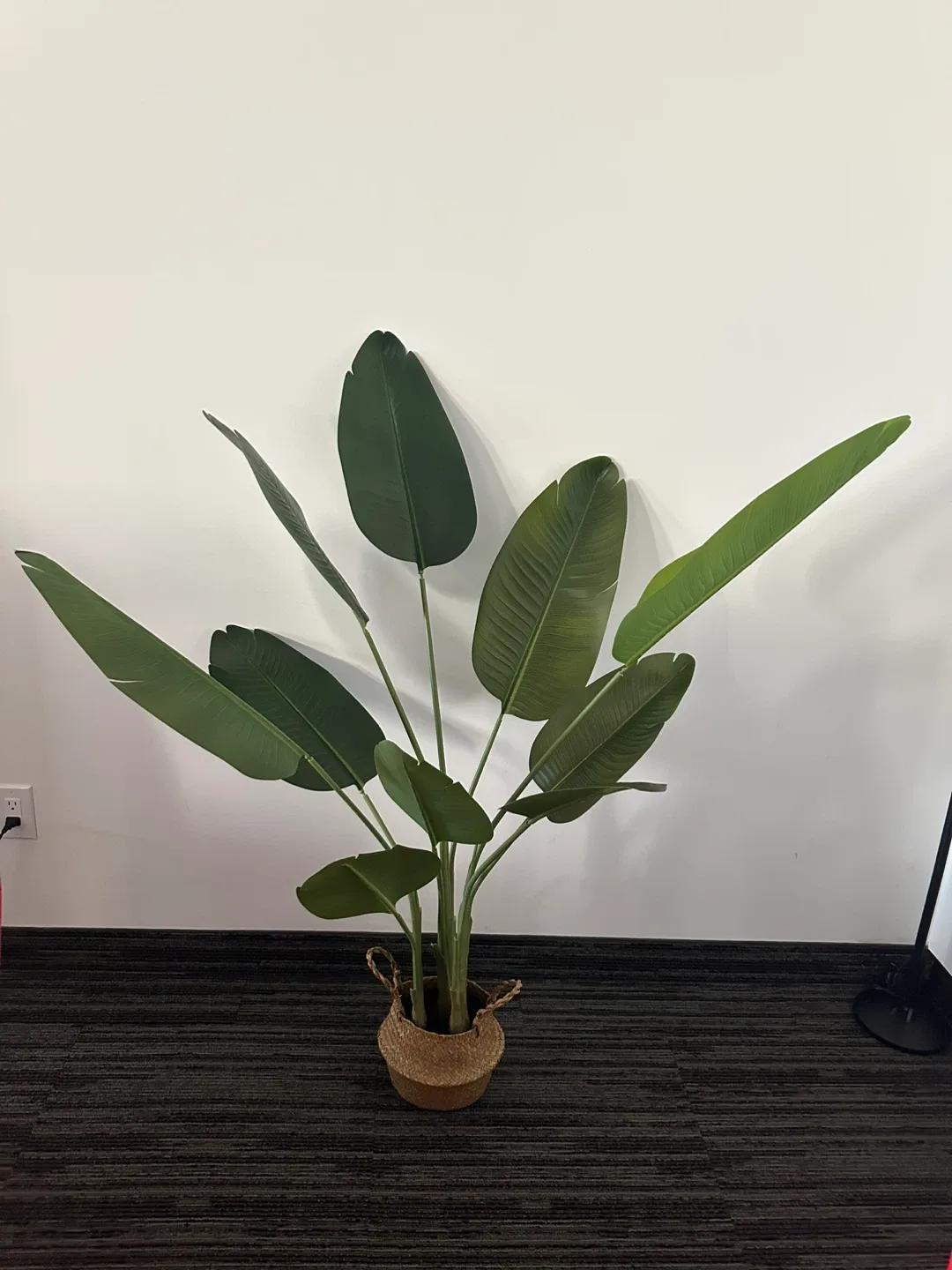 Faux Bird of Paradise Plant