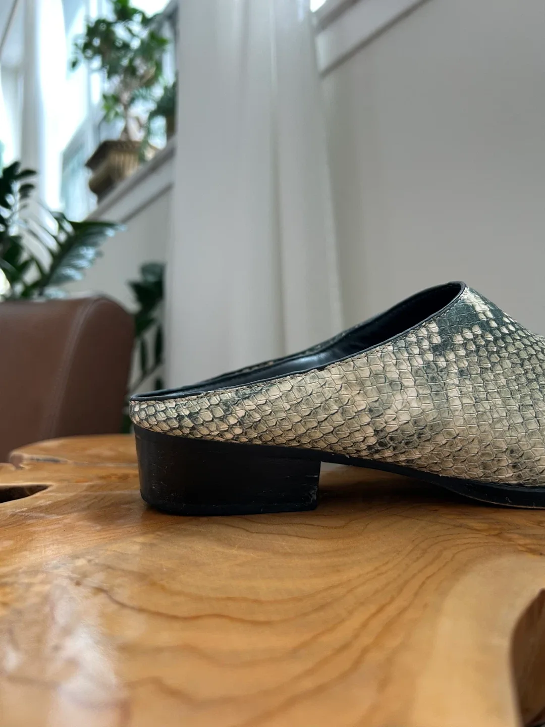 Dolce Vita Snakeskin Mules, Size 8.5 image indicator(2)