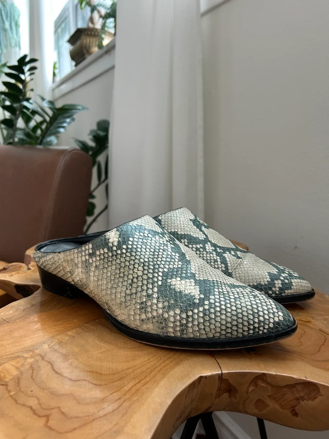 Dolce Vita Snakeskin Mules, Size 8.5