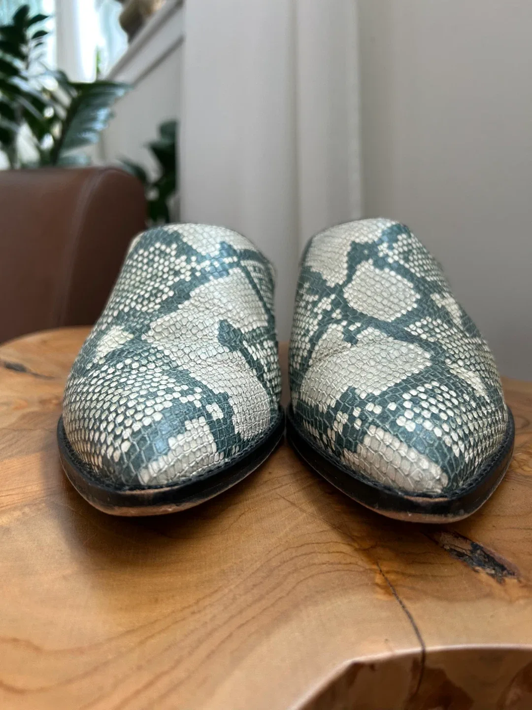 Dolce Vita Snakeskin Mules, Size 8.5 image indicator(3)