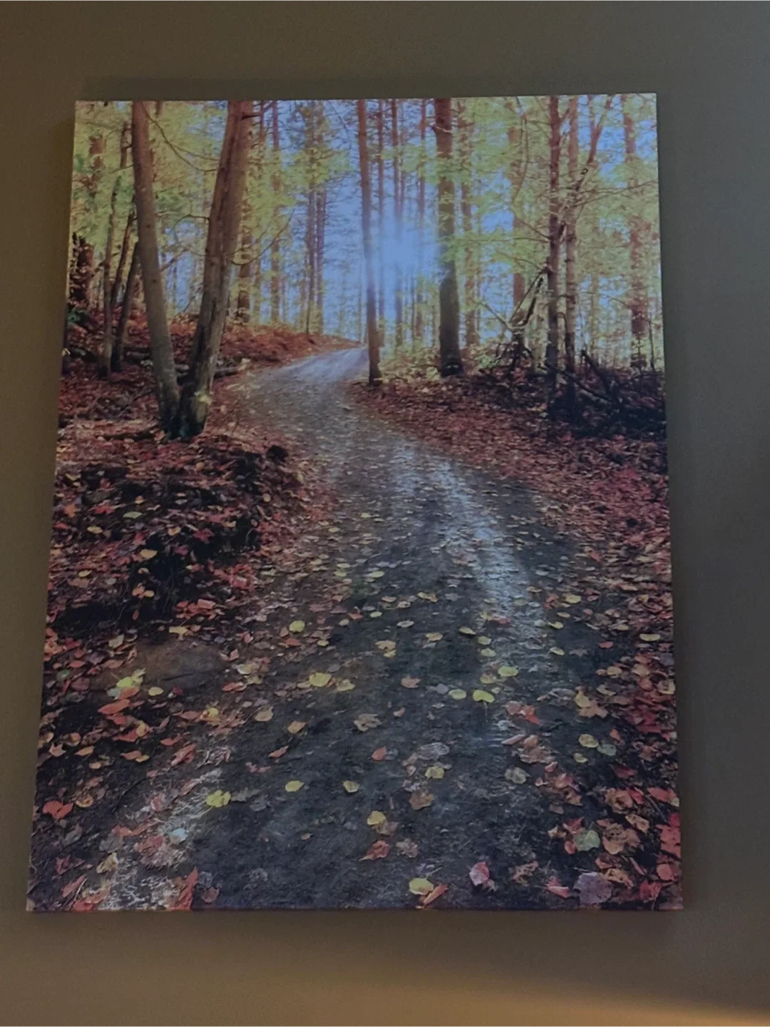 Autumn Path Thru Trees Artwork image indicator(3)