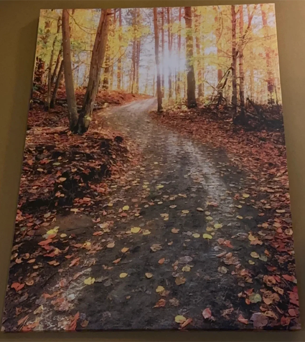 Autumn Path Thru Trees Artwork image indicator(2)