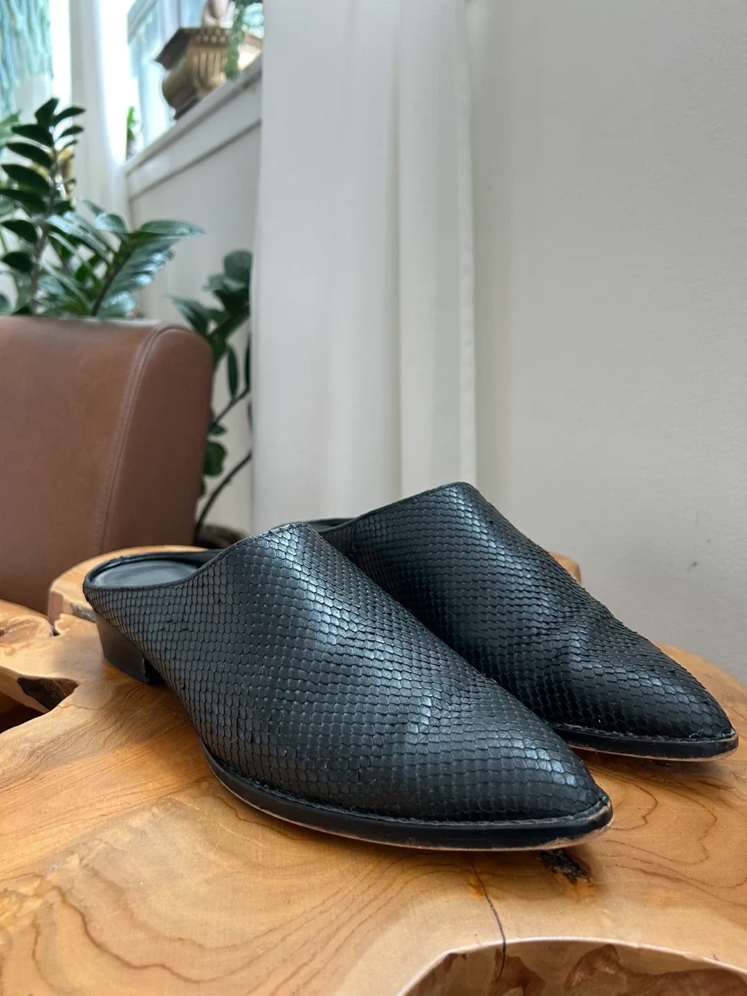 Dolce Vita Black Snakeskin Mules, Size 8.5