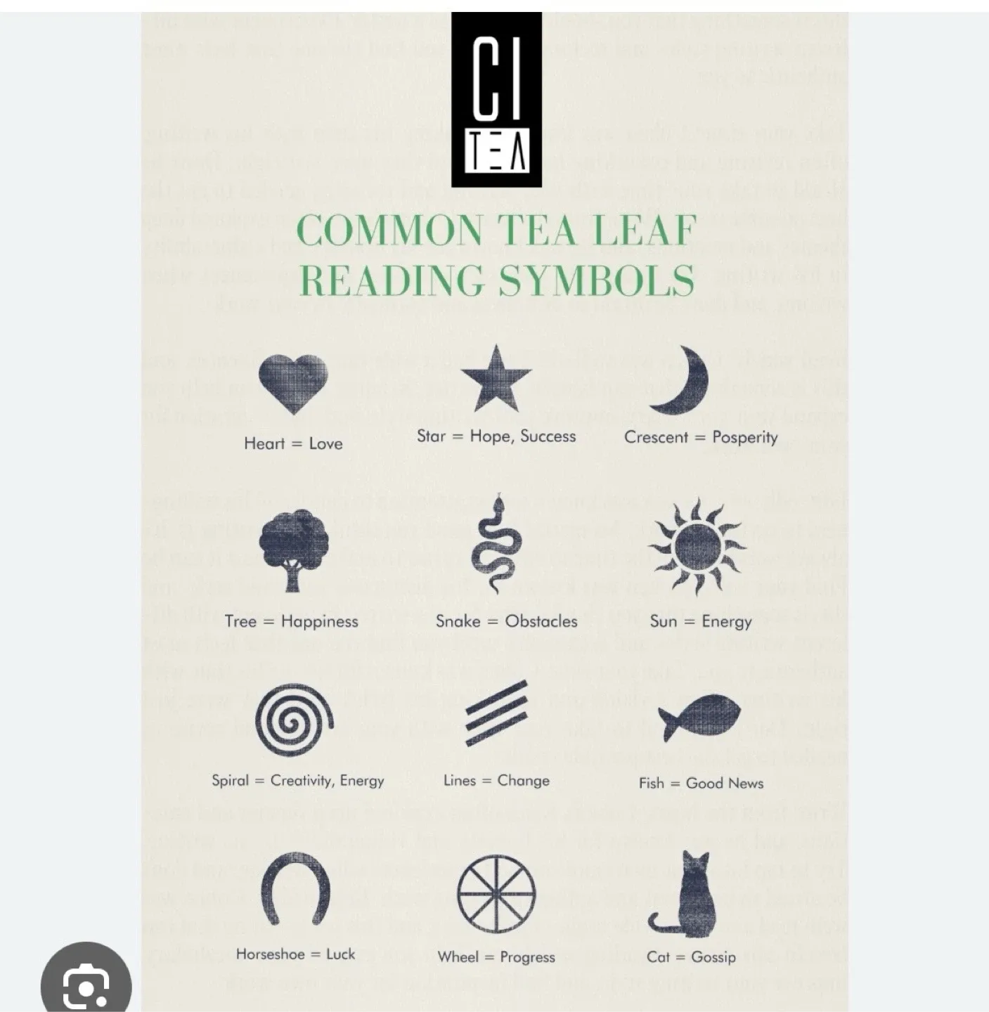 Medium Tea Leaf Readings ! image indicator(4)