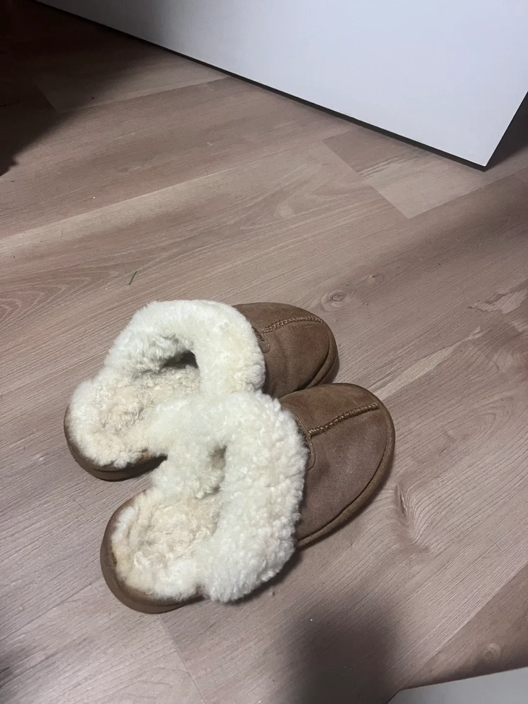 Bearpaw Slippers, Brown, Size 8 image indicator(2)