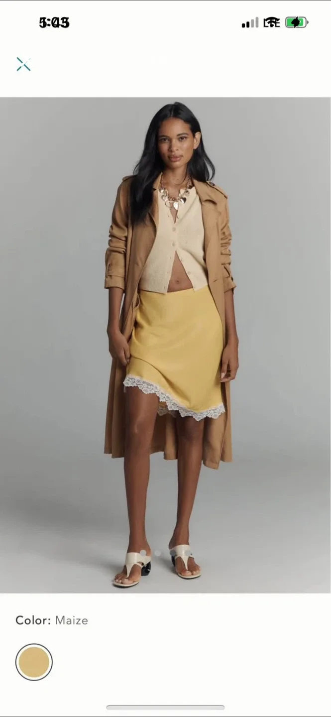 BNWT Anthropologie Tilda Skirt XS image indicator(3)