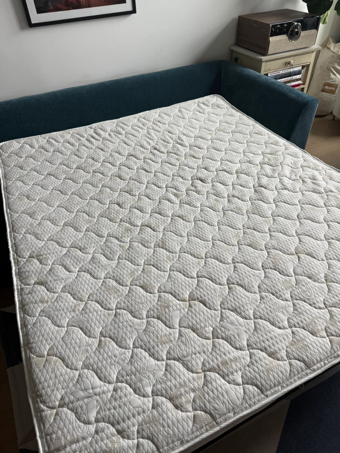 Joybird Miller sleeper sofa- 3 months old! - photo 4