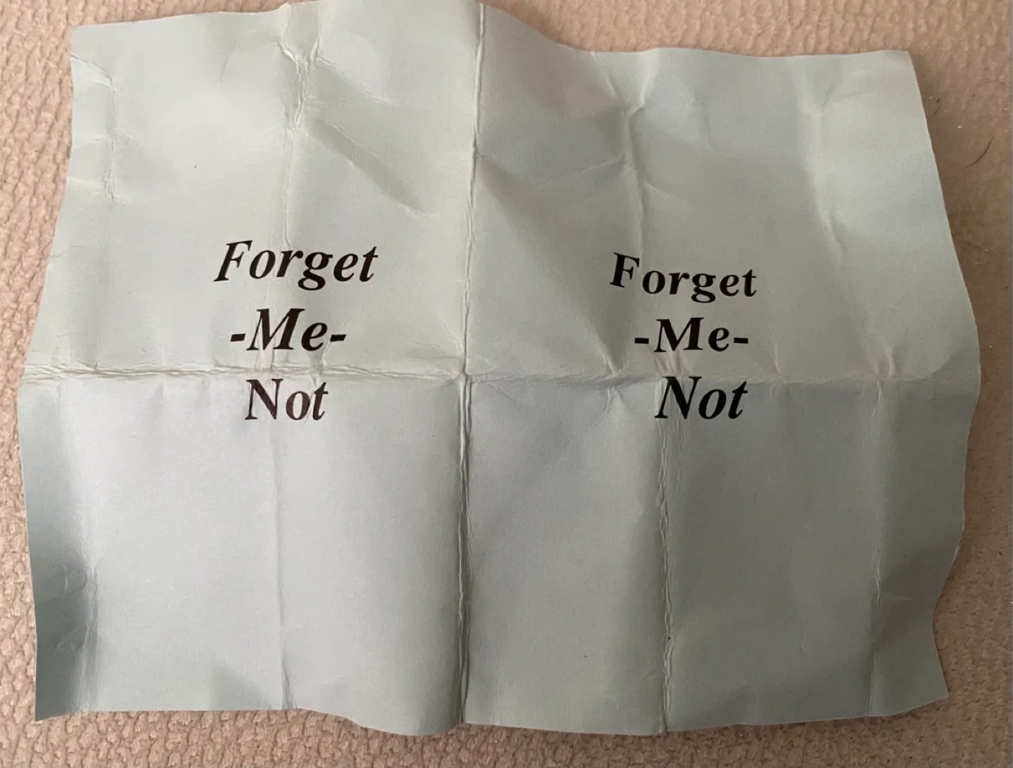 Forget-Me-Not Hanging Gift Globe  with Stand image indicator(8)