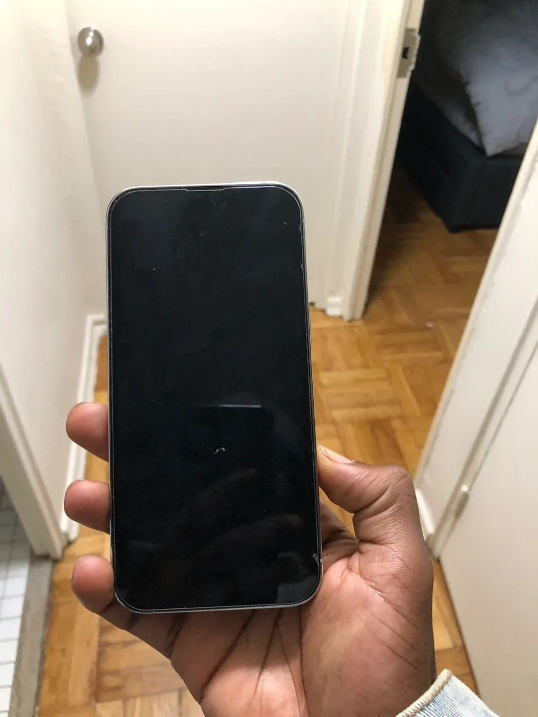 iPhone 14 Pro Max - Silver