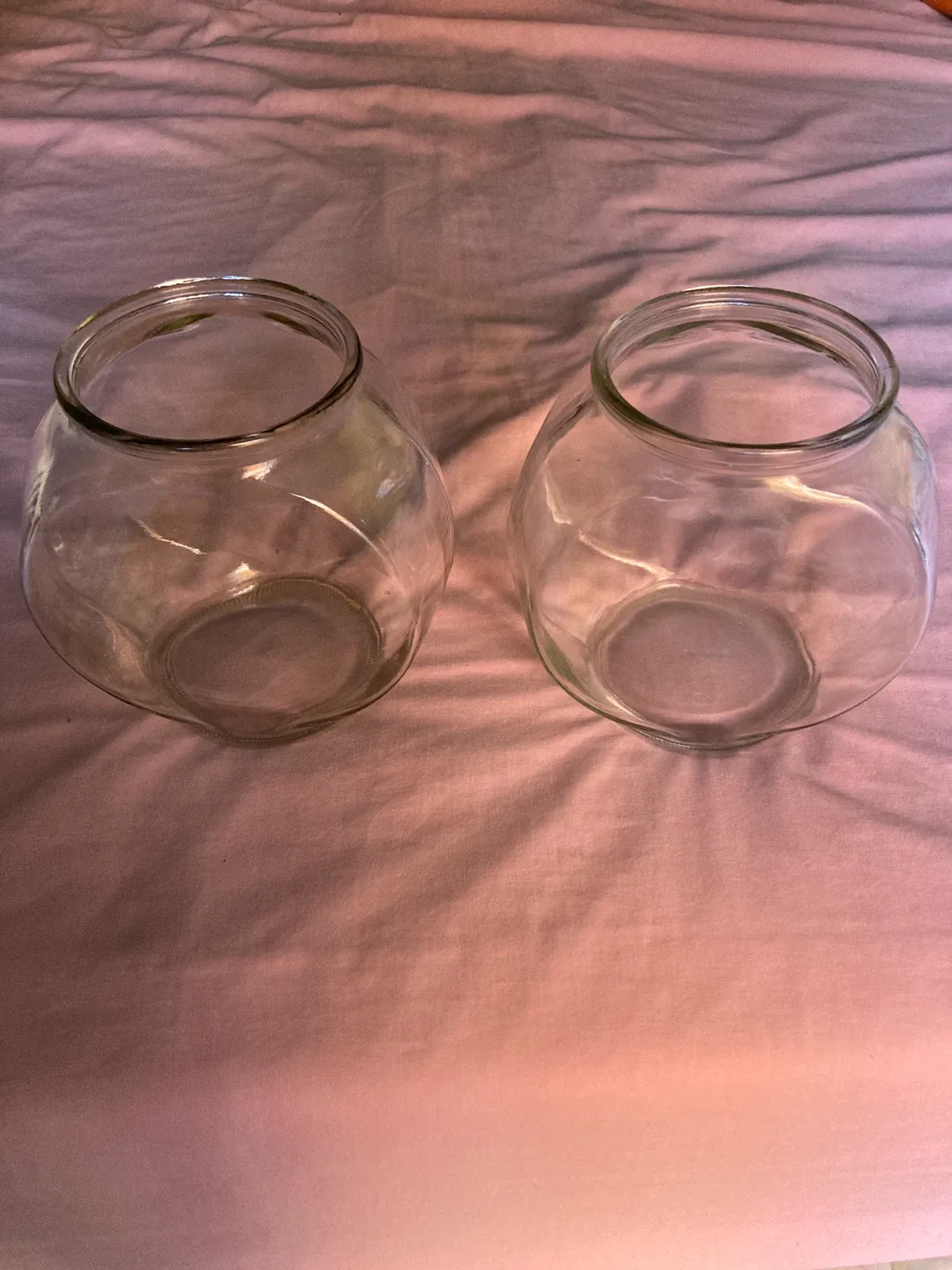 Two Glass Fish Bowls