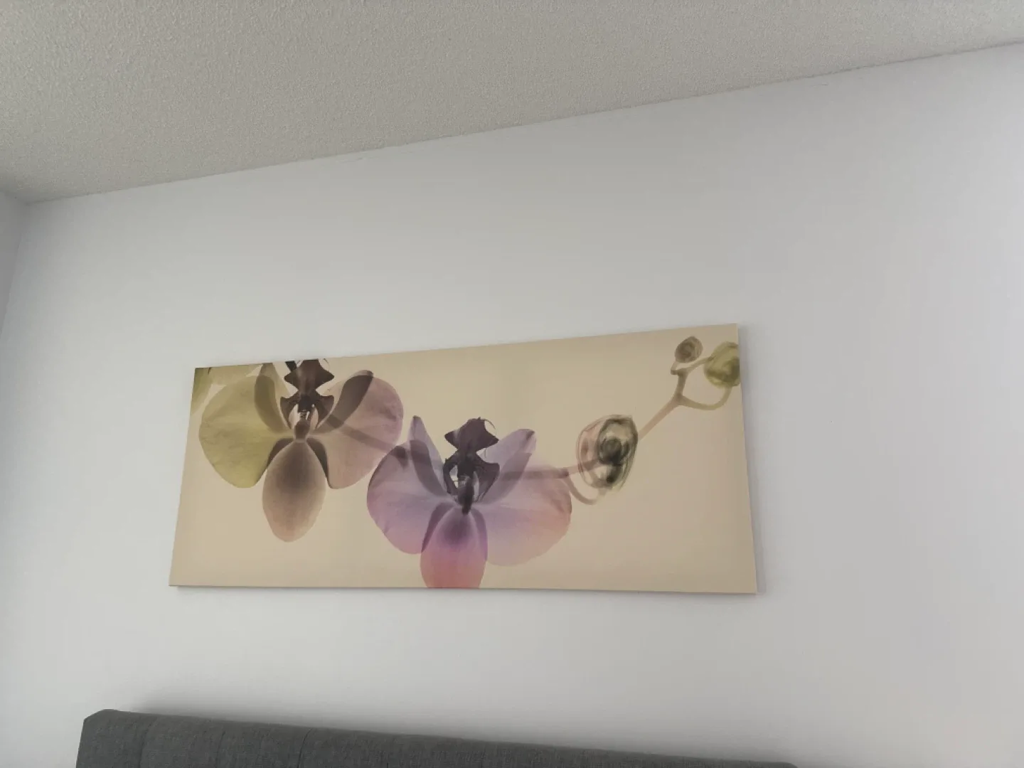 Floral Canvas Wall Art