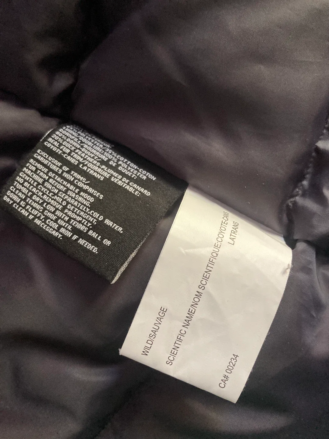 Moose Knuckles x HBC Ladies Parka - Size Small image indicator(7)