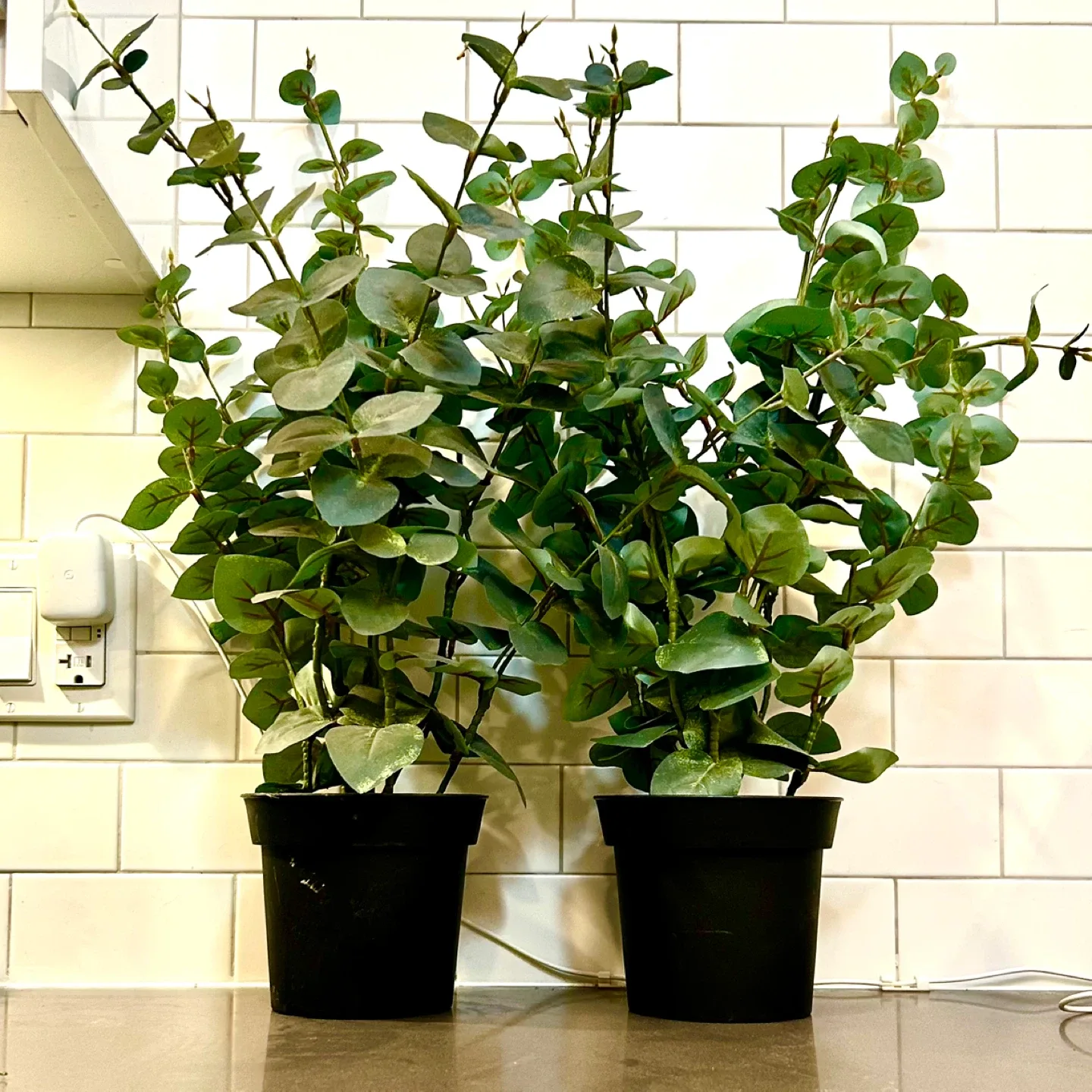 High Quality Artificial Greenery Home + Staging image indicator(5)