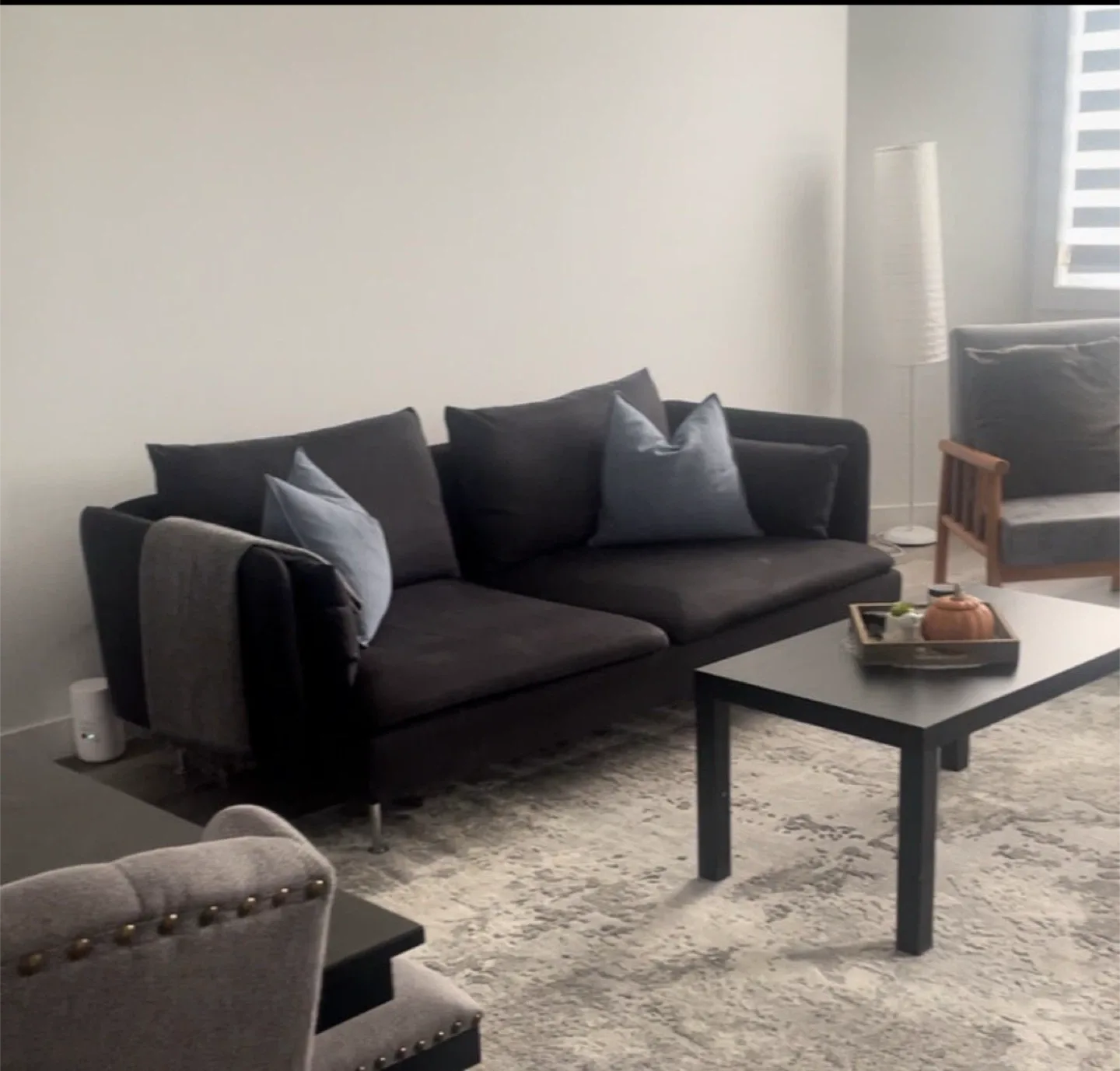 Washed and Ready for a New Home! Modern Dark Gray Sofa