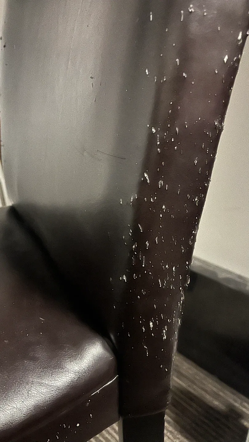 Dark Brown Dining Chairs - Set of 4! image indicator(3)