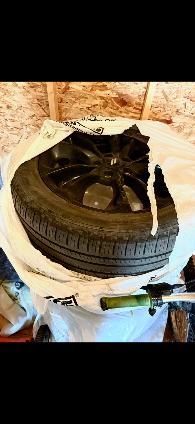 M/S Tires + Rims