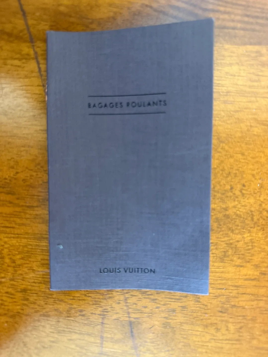 Louis Vuitton Damier Graphite Pegasus 55 Business image indicator(10)