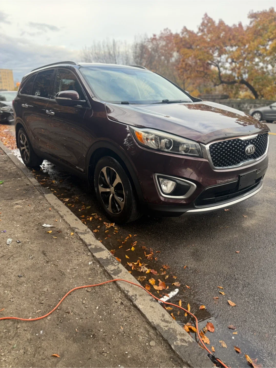 Kia Sorento SUV 2016 image indicator(8)