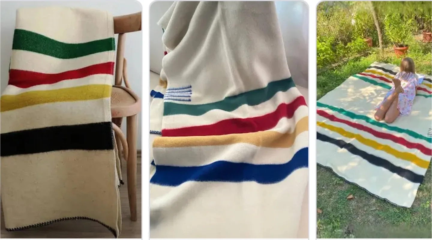 Hudson's Bay Company Point Blanket - Twin Size image indicator(6)