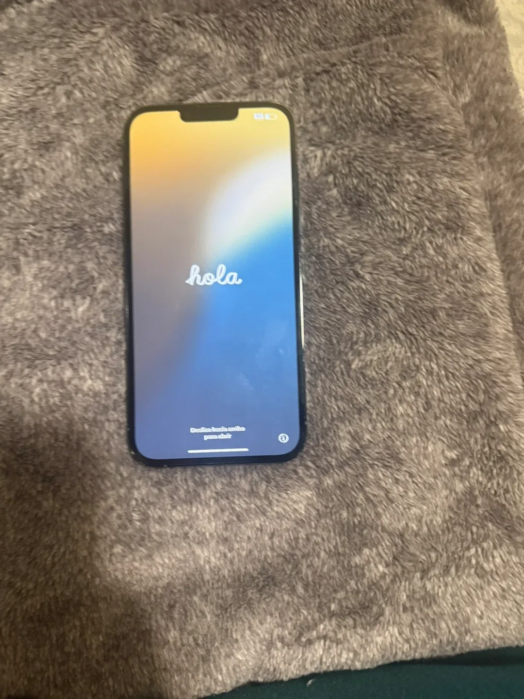 Sierra blue iPhone 13 Pro Max 512GB image indicator(2)