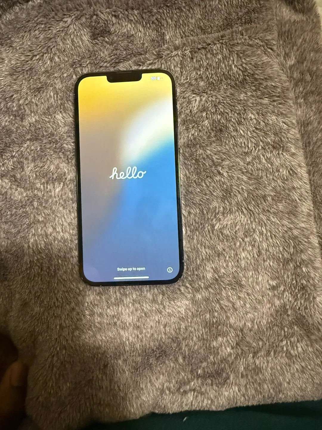 Sierra blue iPhone 13 Pro Max 512GB image indicator(3)