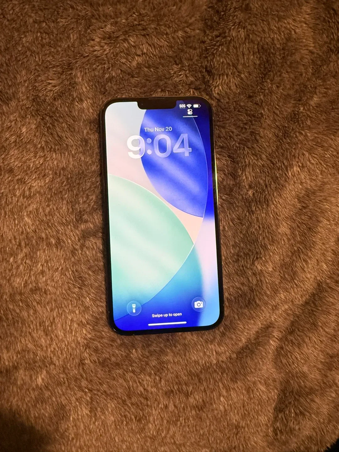 Sierra blue iPhone 13 Pro Max 512GB image indicator(10)