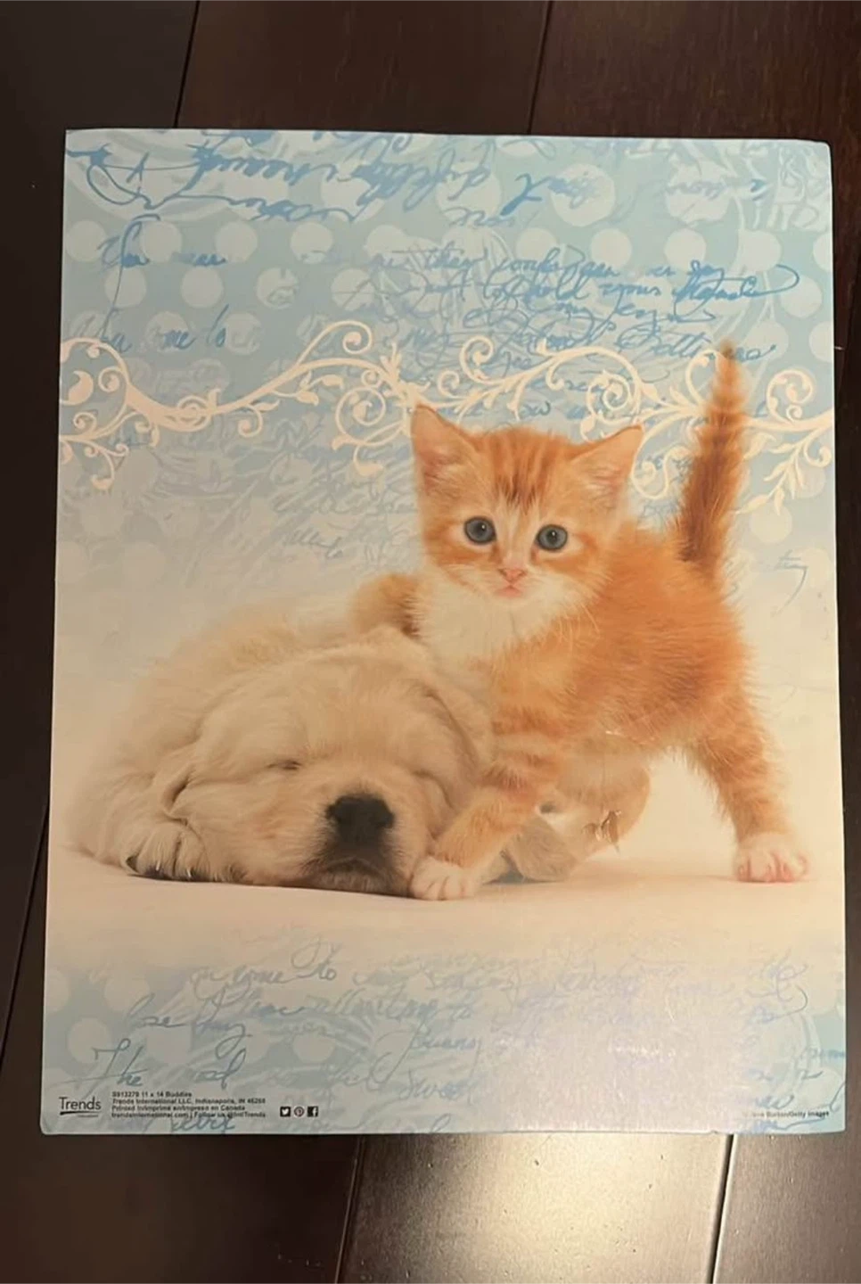 Cute Animal Posters | $1 per poster - photo 2