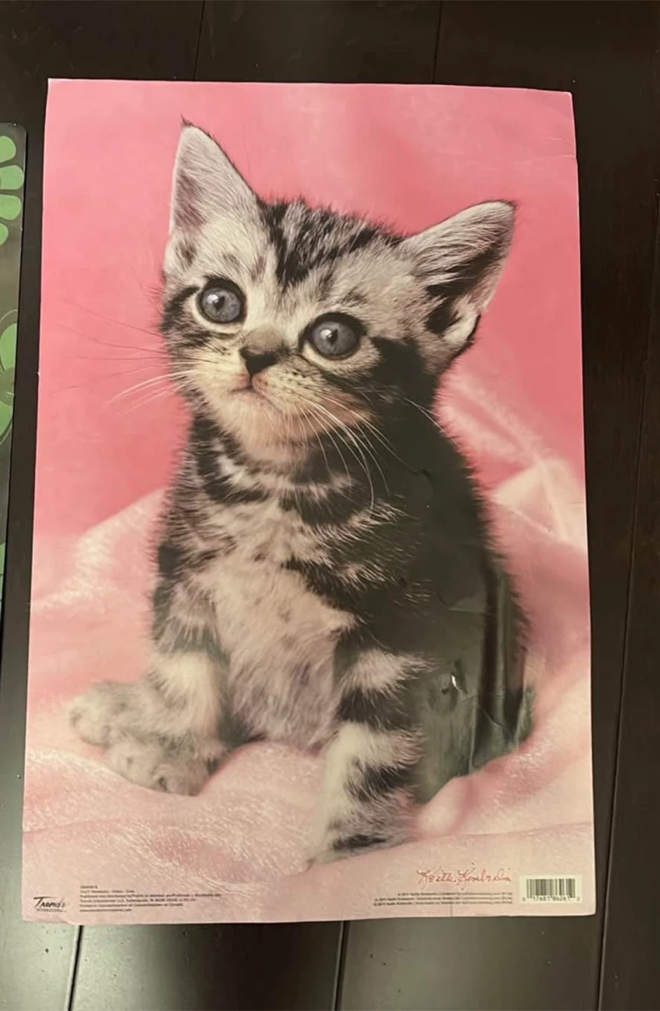 Cute Animal Posters | $1 per poster - photo 4