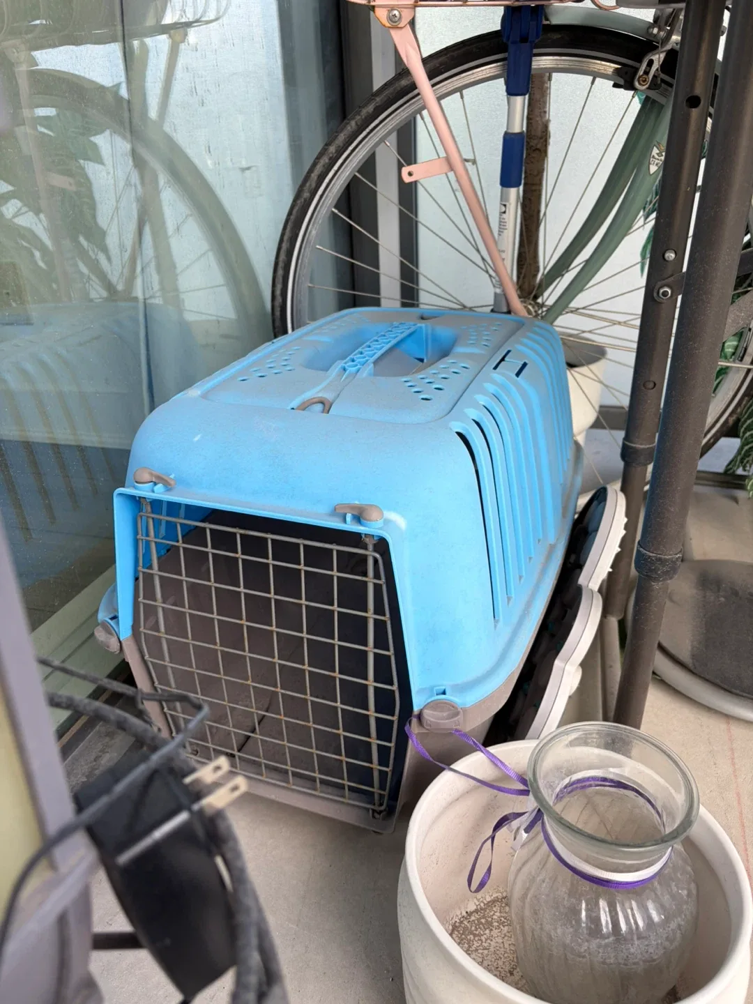 Blue Plastic Pet Carrier – Cat/Dog Crate with Metal Door
