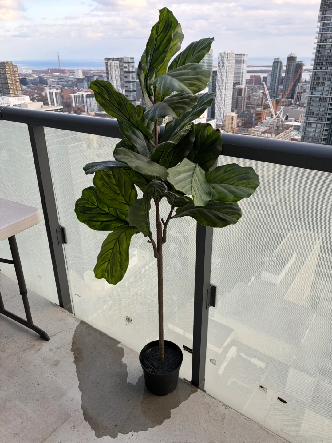 MUST be picked up Nov 21 Tall Faux Leaf Tree (Realistic, 5ft+)