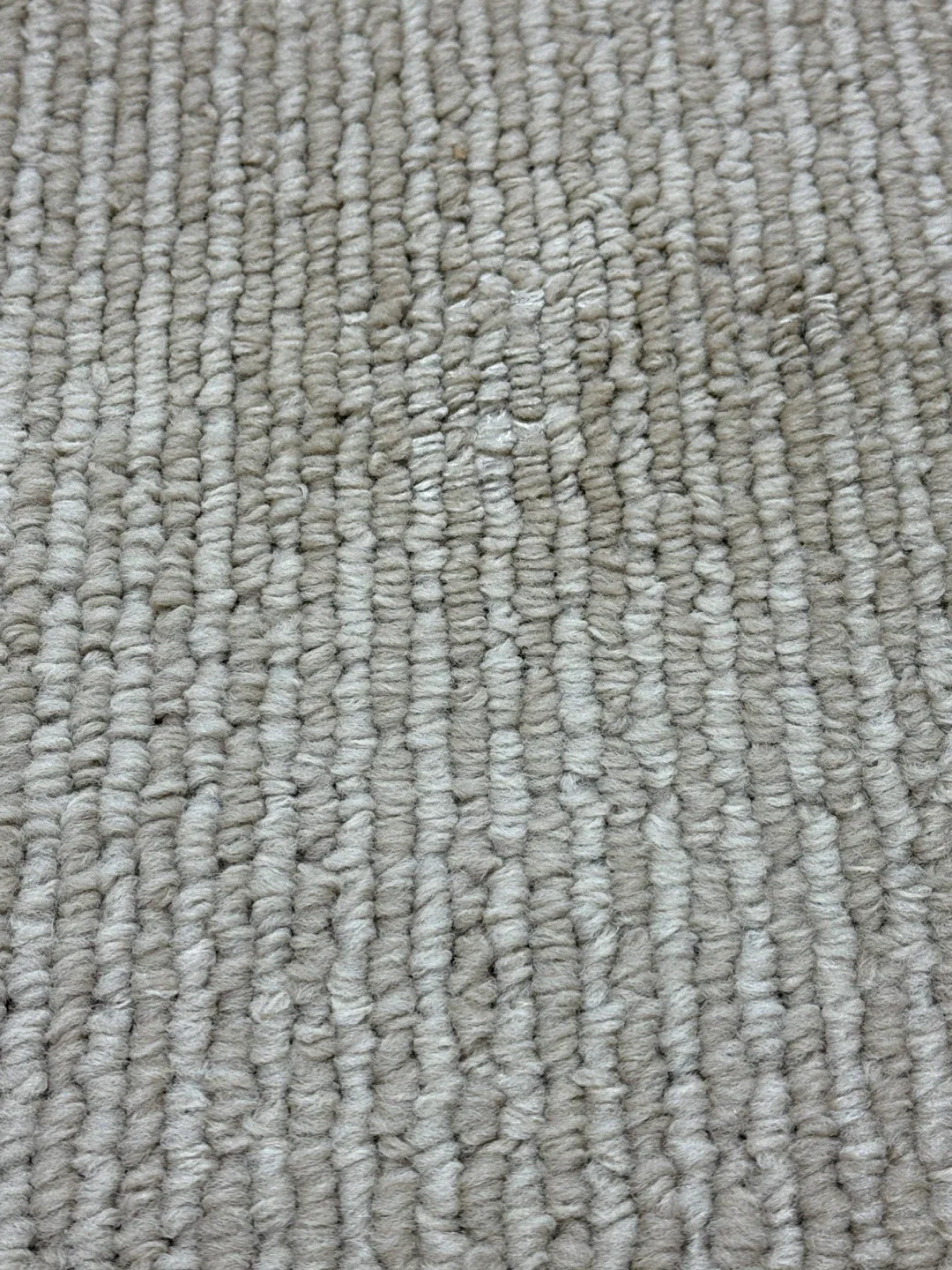 Threshold Tan Madison Border Area Rug image indicator(3)