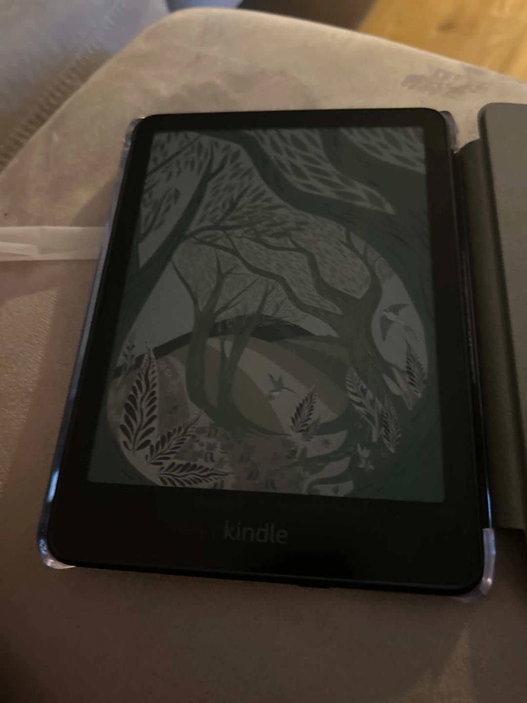 Kindle e-reader with cover