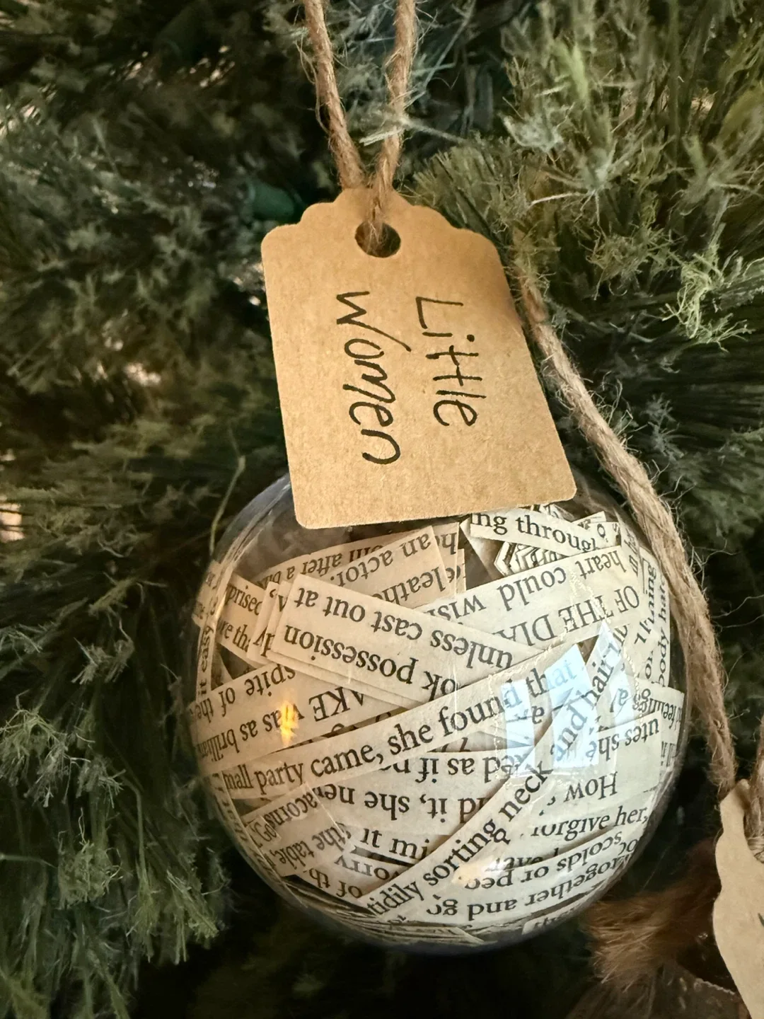 Book Pages Ornaments x2 image indicator(3)