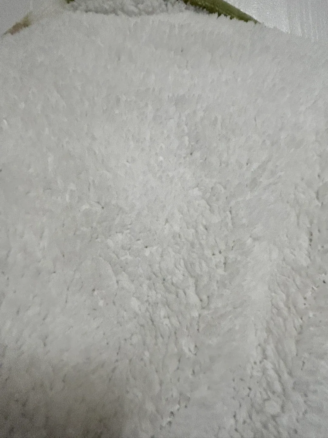 Green Floral Comfy Hoodie and Shorts Set image indicator(4)