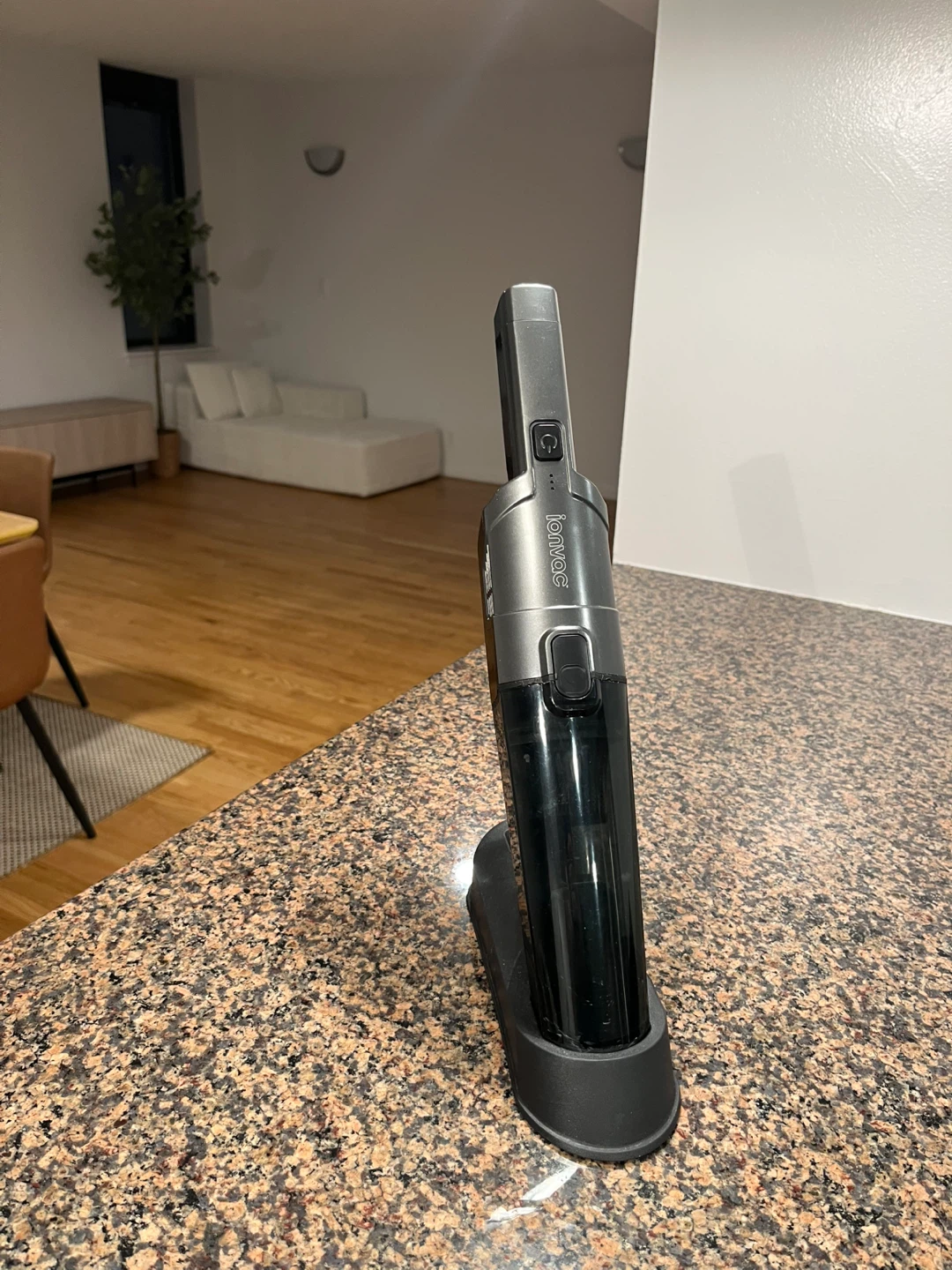 ionvac Handheld Vacuum
