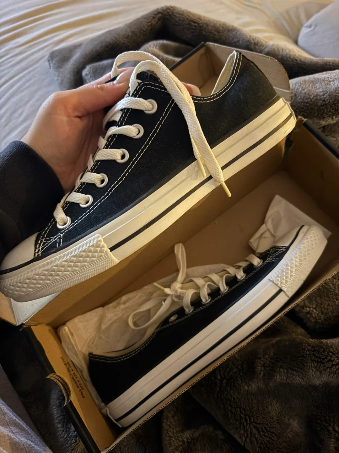 Converse All Star Chuck Taylor Low Top - US 7.5