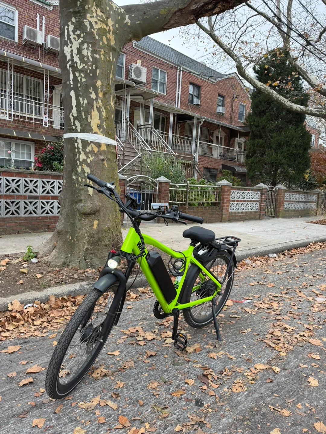 Whizz Electric Bike Storm 2 image indicator(3)