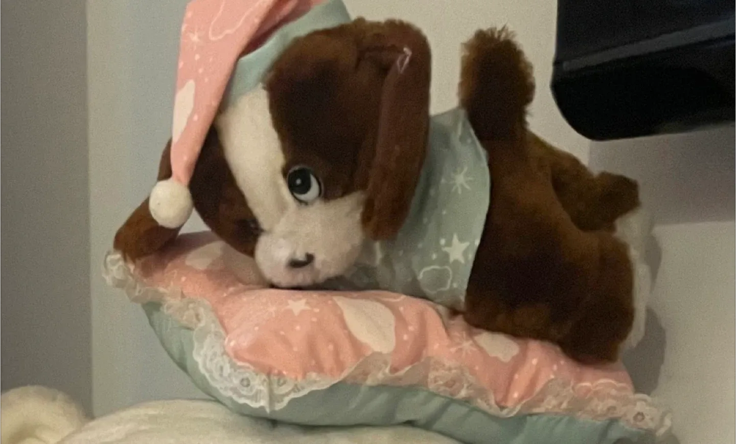 FREE - assorted stuffed animals