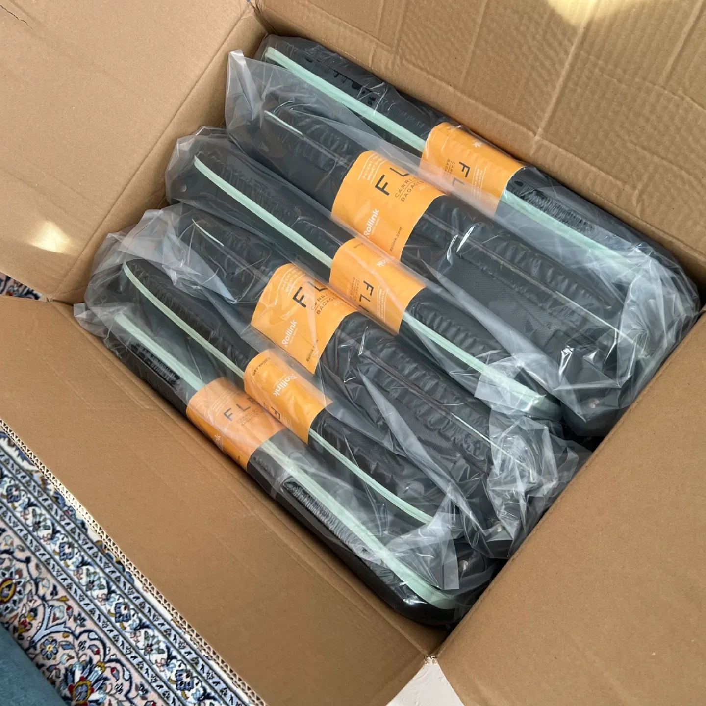 Foldable Carry-On Luggage – Collapses to 5cm – Mint Color image indicator(9)