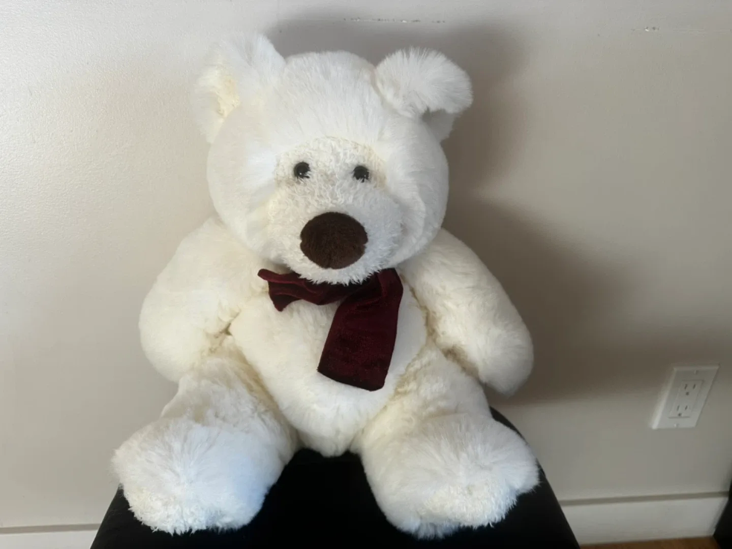 White Plush Teddy Bear image indicator(2)
