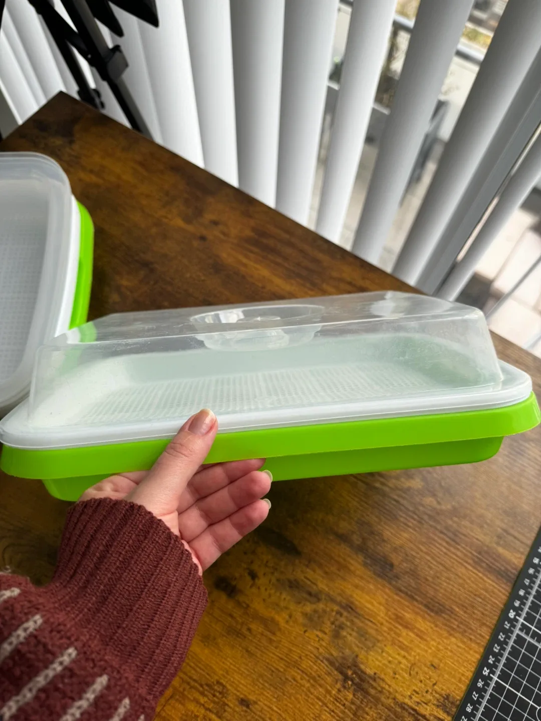 Sprouting Tray Kit - Green, White & Clear