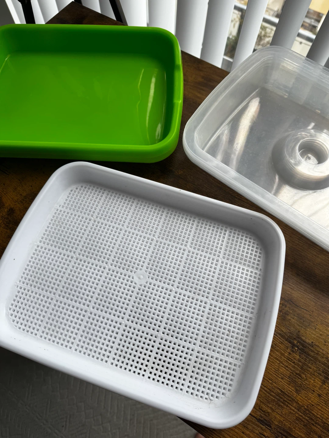 Sprouting Tray Kit - Green, White & Clear - photo 2