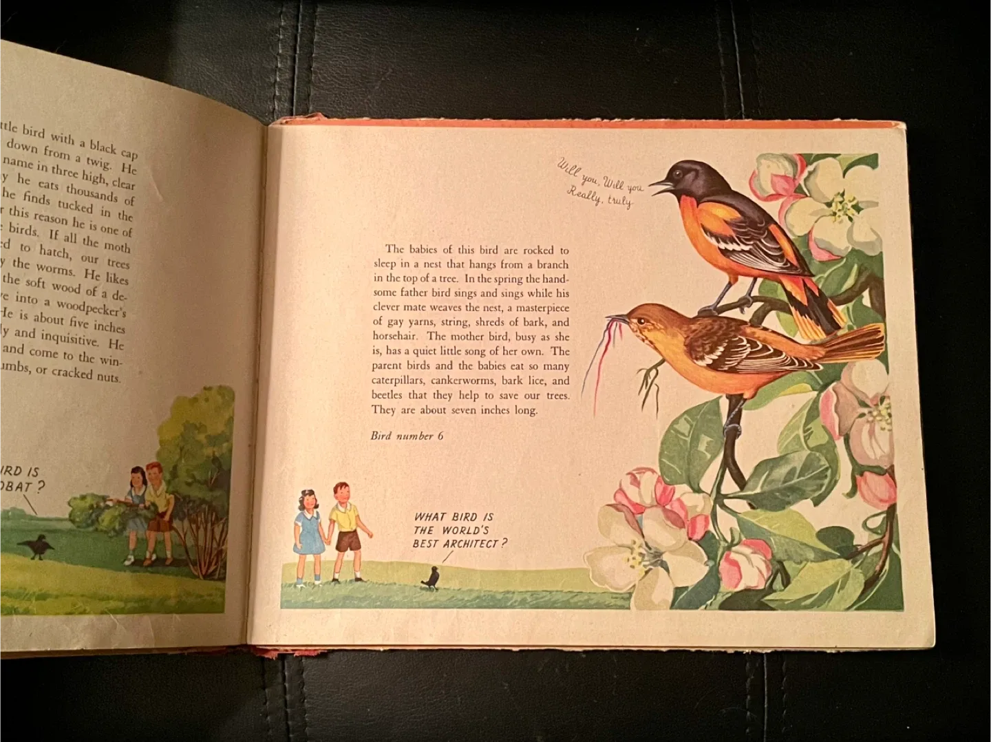 What Bird Is It? by Anna Pistorius image indicator(2)