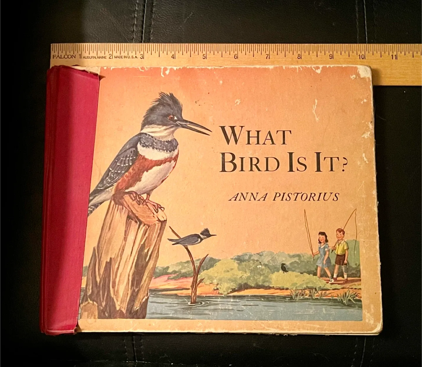 What Bird Is It? by Anna Pistorius