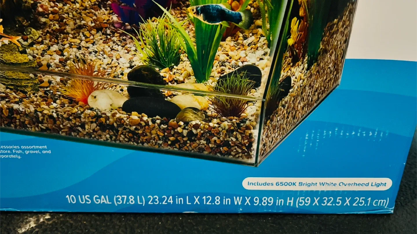 10 US GAL Angled View Fish Tank (37.8 L)