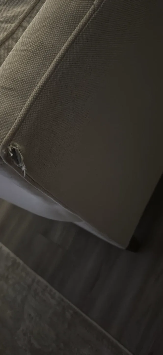 Beige Loveseat Sofa image indicator(5)