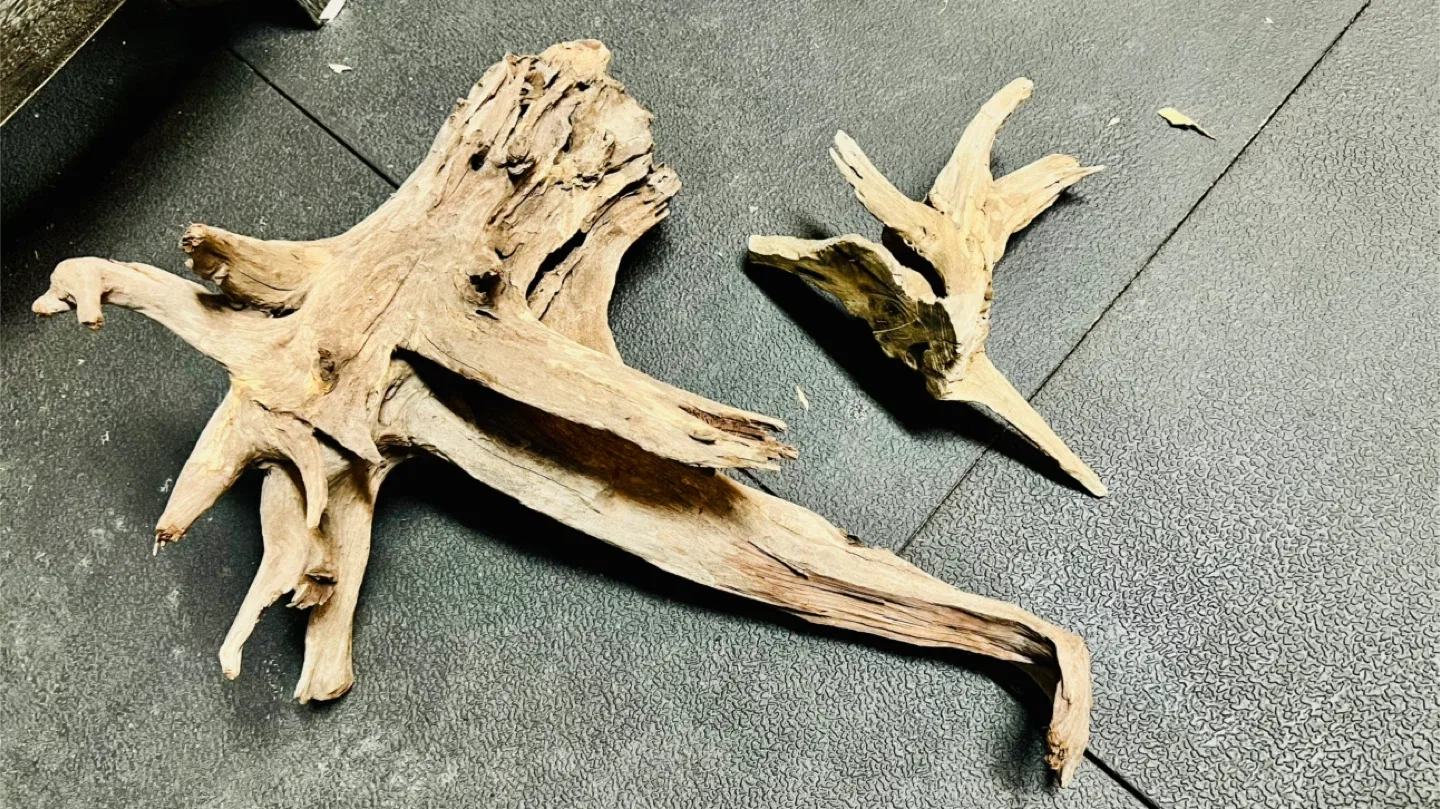 Driftwood Pieces for Aquarium or Decor