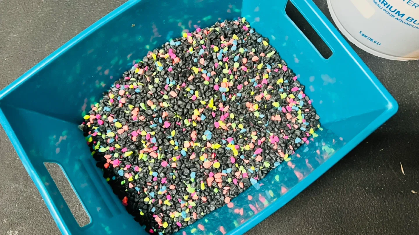 Aquarium Gravel - Black with Neon Accents